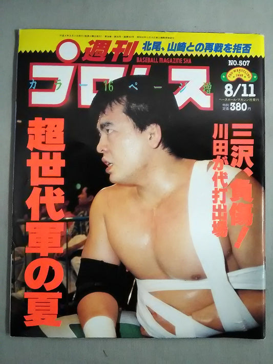 Weekly Pro Wrestling 507