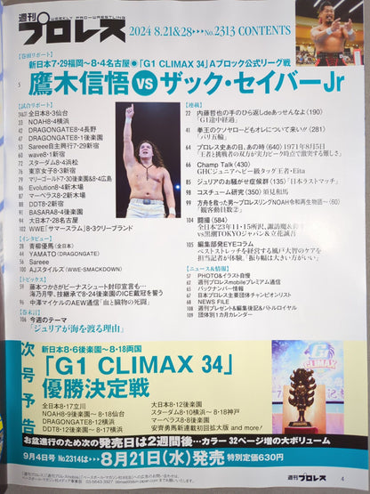 週刊プロレス2313