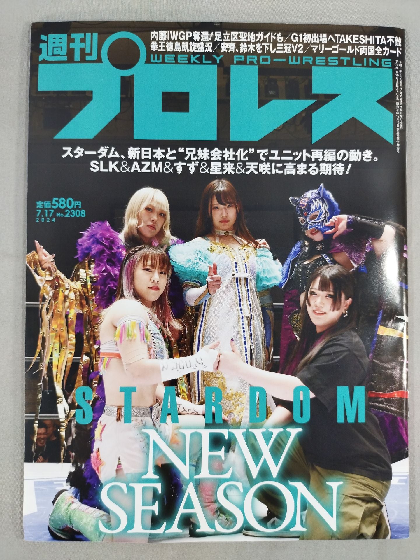 週刊誌 AMo 週刊プロレス2308 – 闘道館
