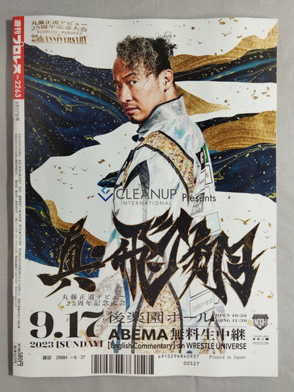 Weekly Pro Wrestling 2263