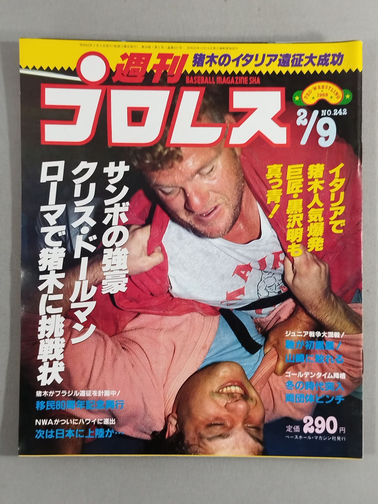 Weekly Pro Wrestling  242