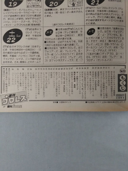 Weekly Pro Wrestling 73