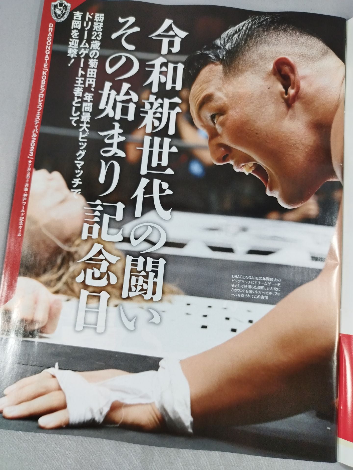 Weekly Pro Wrestling 2252