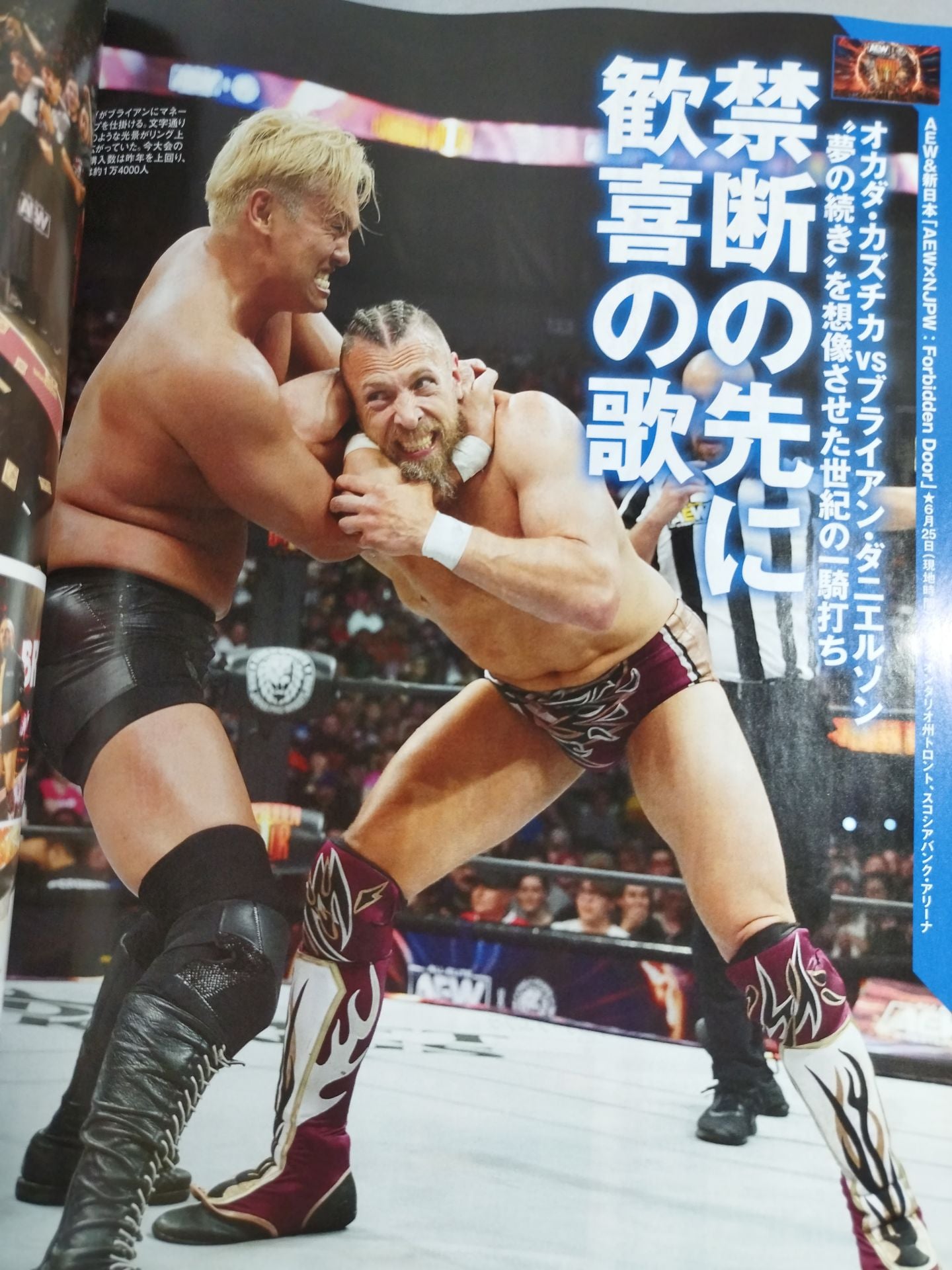 Weekly Pro Wrestling 2252