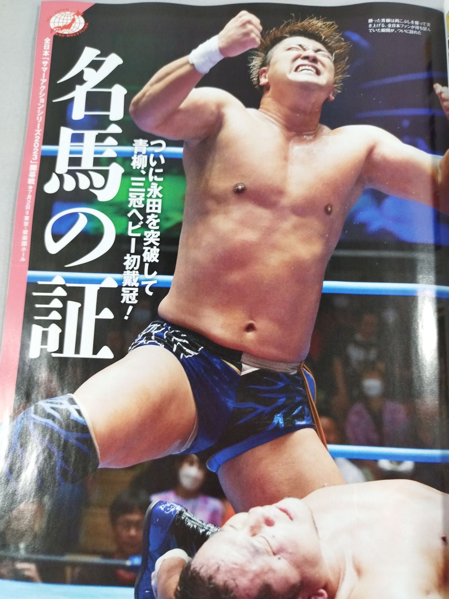 Weekly Pro Wrestling 2252