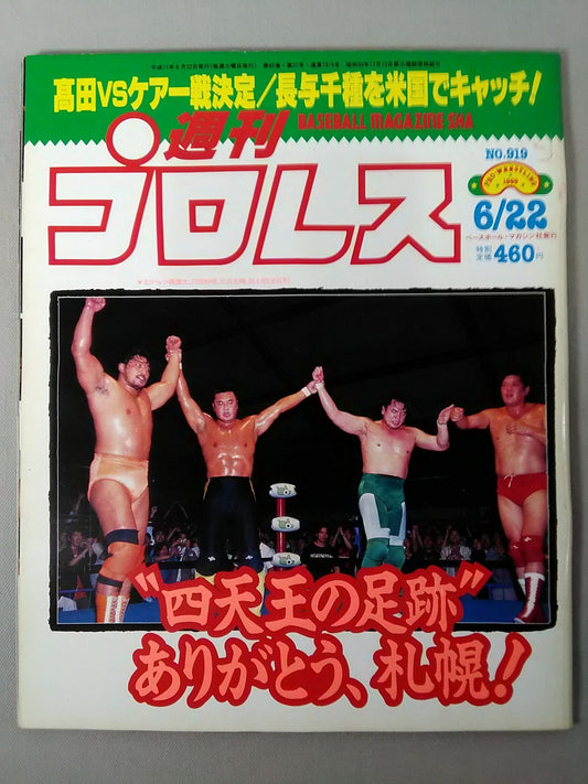 Weekly Pro Wrestling 919