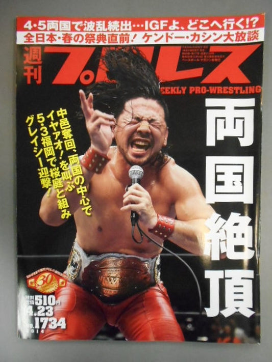 Weekly Pro Wrestling 1734