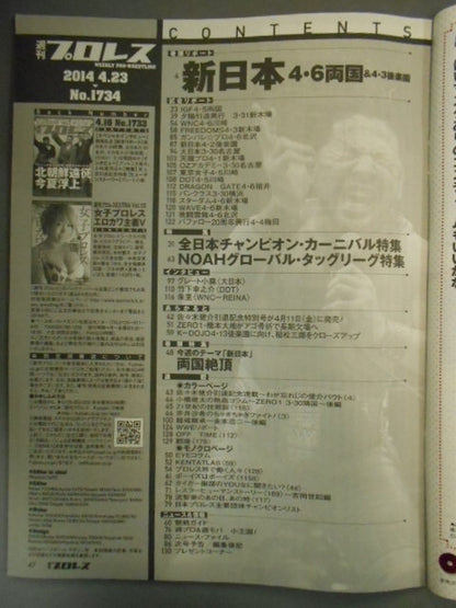 Weekly Pro Wrestling 1734