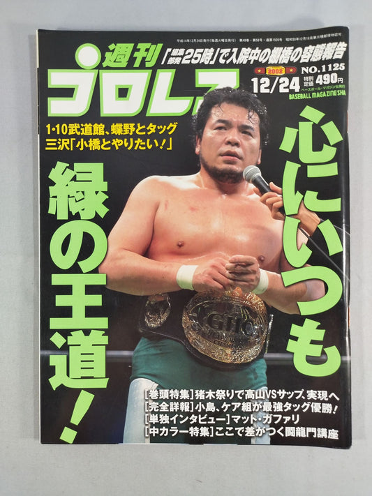 Weekly Pro Wrestling 1125