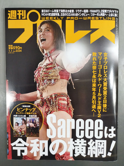 Weekly Pro Wrestling 2334