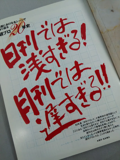 ★ 20th Anniversary ★ of Empathy Weekly Pro Wrestling  20th ANNIVERSARY OFFICIAL PROGRAM