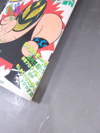 Weekly Pro Wrestling  Special Issue 508 Pro Wrestling  Comic No.2