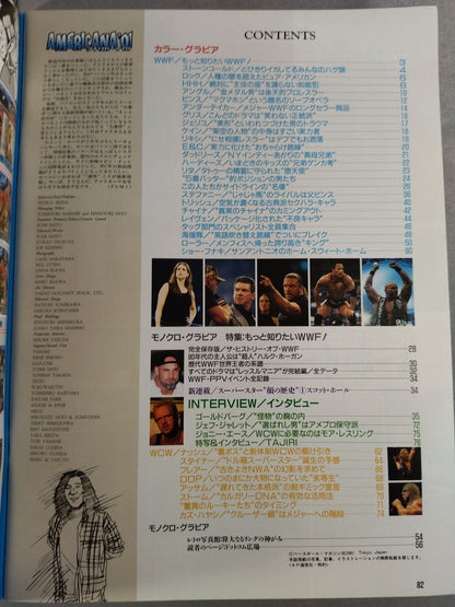 Weekly Pro Wrestling  Appendix 26 "Americana '01"