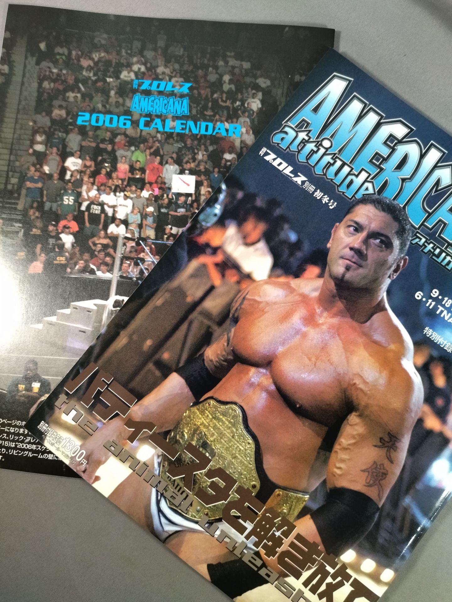 週刊プロレス別冊66 ｢アメリカーナ’05 アテテュード｣