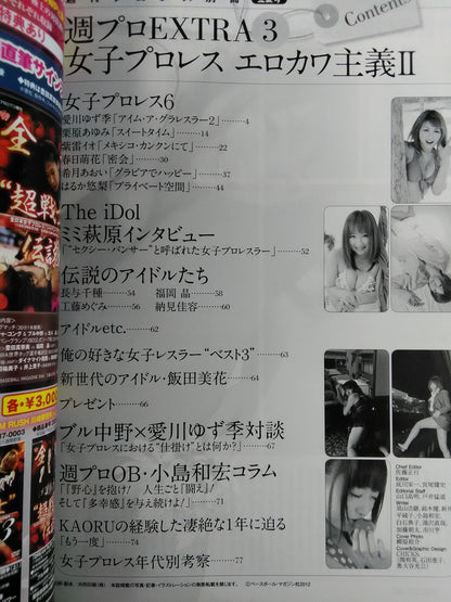 週刊プロレス別冊97「女子プロレス エロカワ主義Ⅱ」