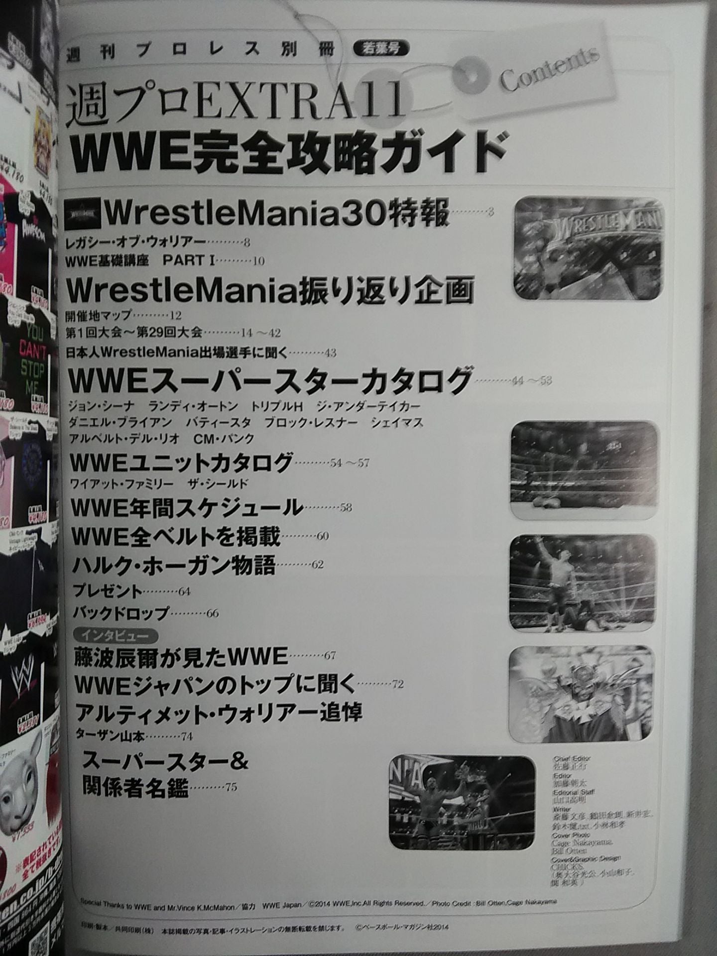 Weekly Pro Wrestling  Appendix 110 WWE Complete Strategy Guide