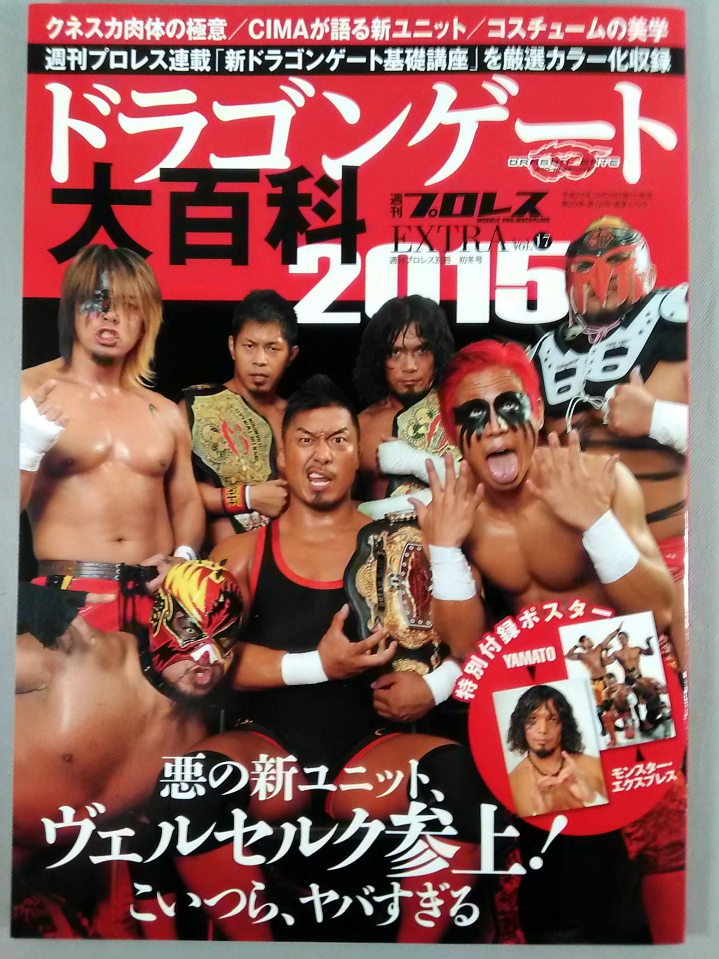 Weekly Pro Wrestling  Annex 125 Dragon Gate Encyclopedia 2015