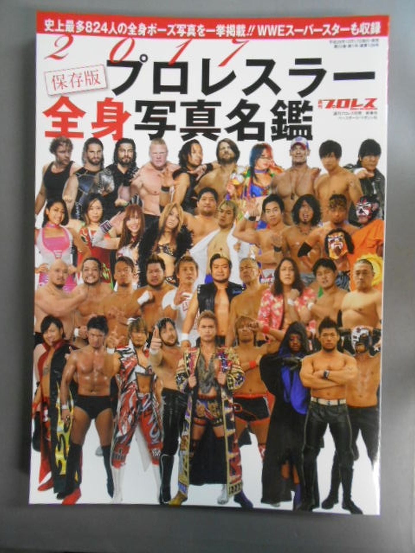 Weekly Pro Wrestling  Appendix 139 "2017 Preservation Edition" Pro Wrestler  Full Body Photo  Directory"
