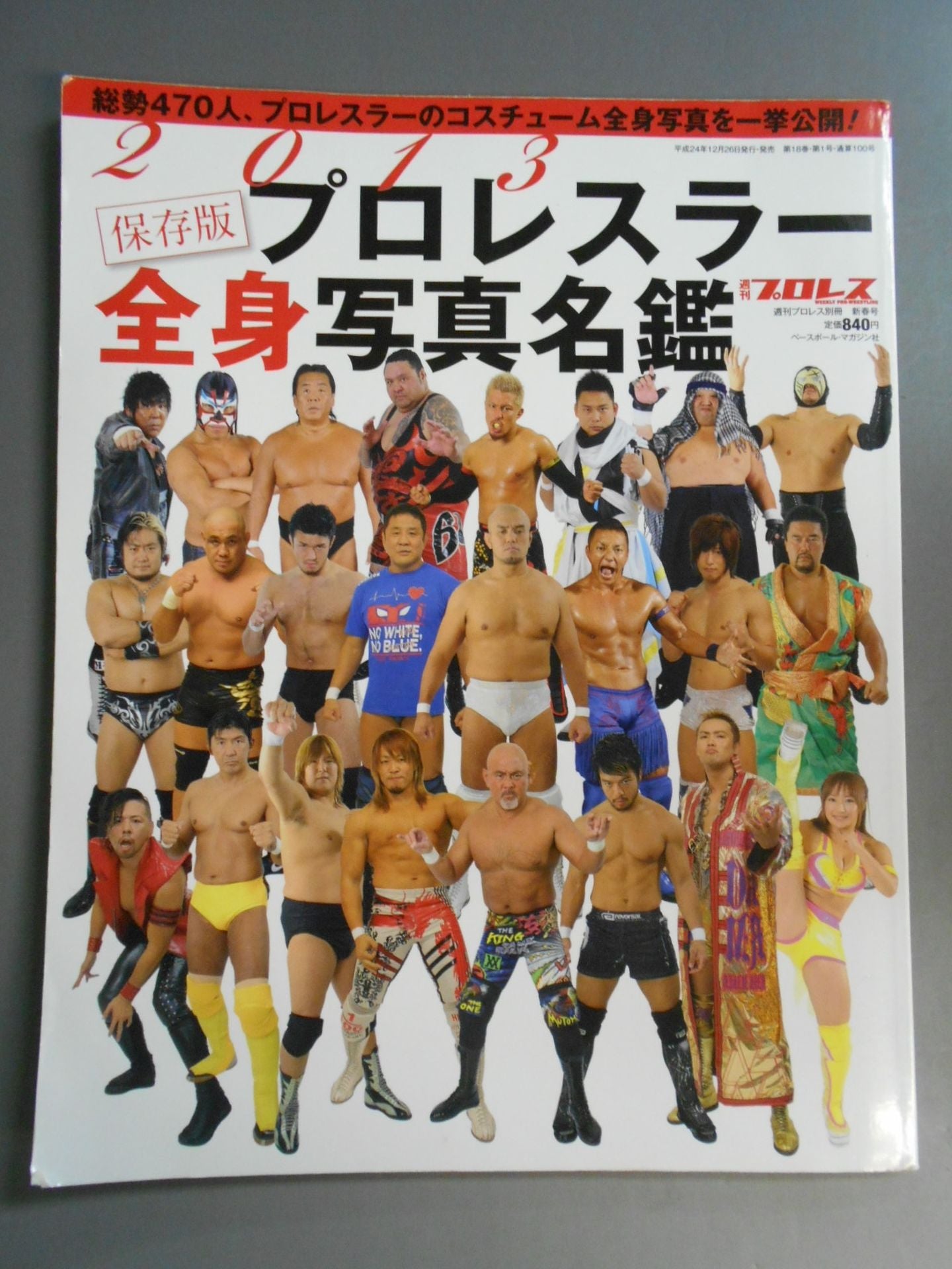 週刊プロレス別冊100「2013 保存版プロレスラー全身写真名鑑」