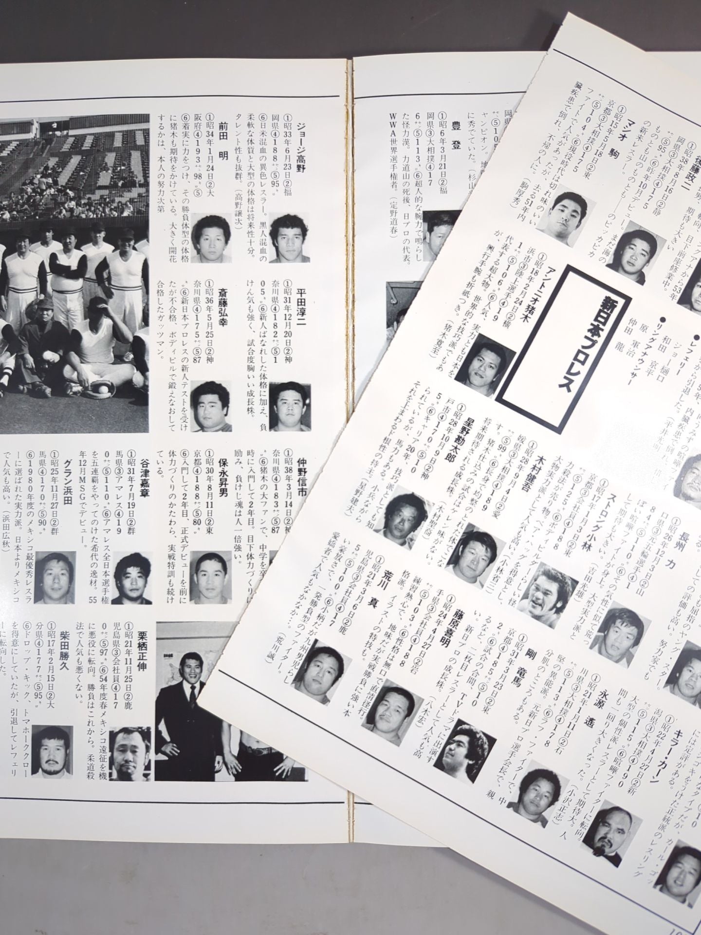 Appendix 3 of Weekly Pro Wrestling  "Japan30 Years of Pro Wrestling