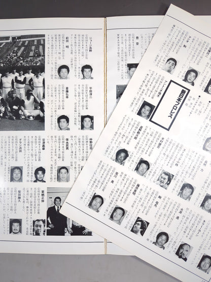 Appendix 3 of Weekly Pro Wrestling  "Japan30 Years of Pro Wrestling