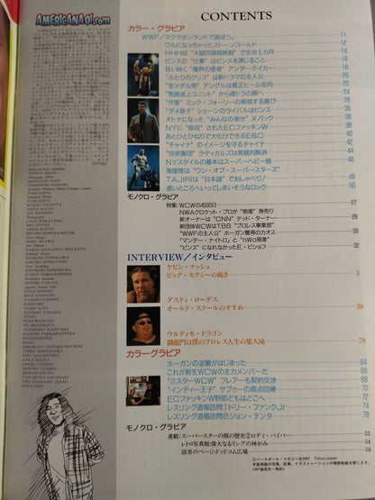 週刊プロレス別冊29 ｢アメリカーナ’01 ドットコム｣