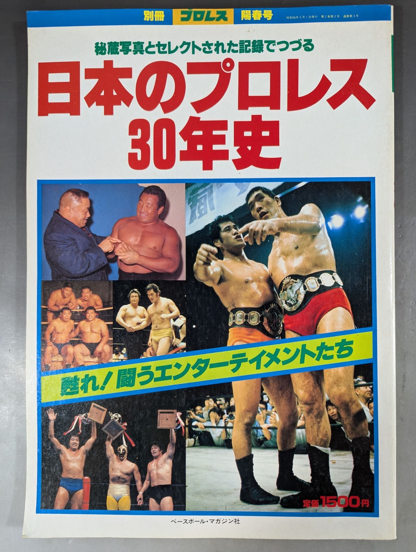 Appendix 3 of Weekly Pro Wrestling  "Japan30 Years of Pro Wrestling