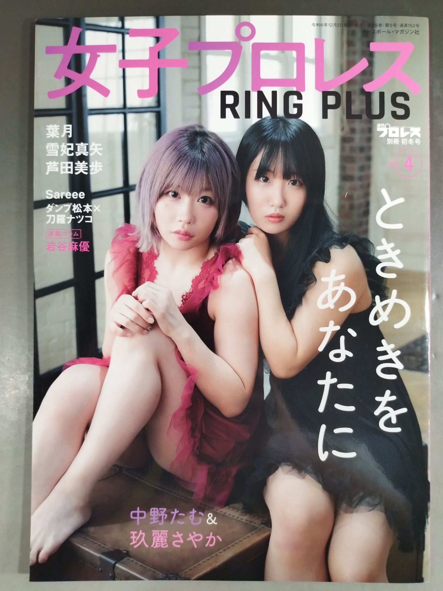 Weekly Pro Wrestling  Appendix 152 "Women's Pro Wrestling  RING PLUS" vol.4