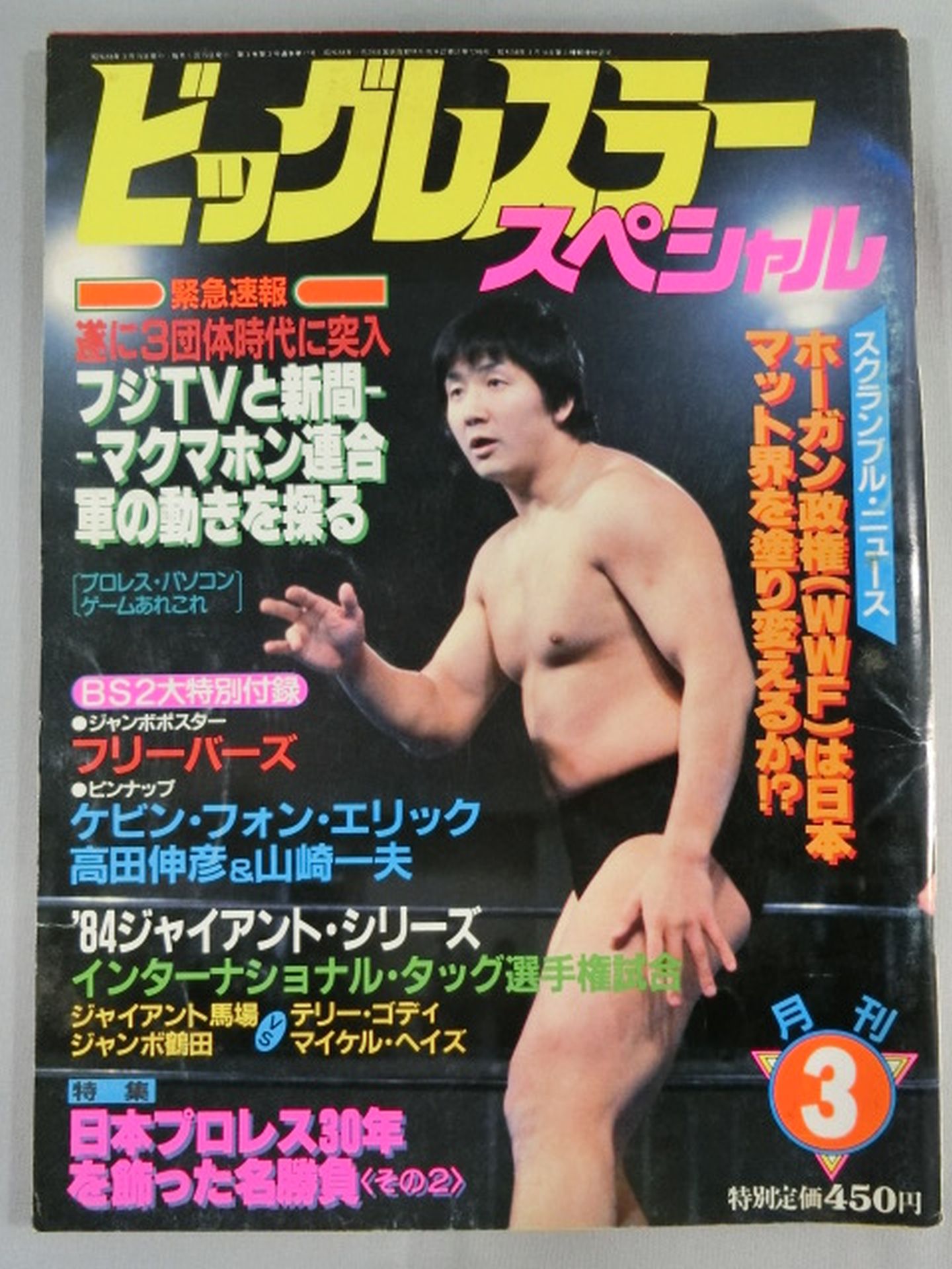 Monthly Big Wrestler March 1984 Special Issue