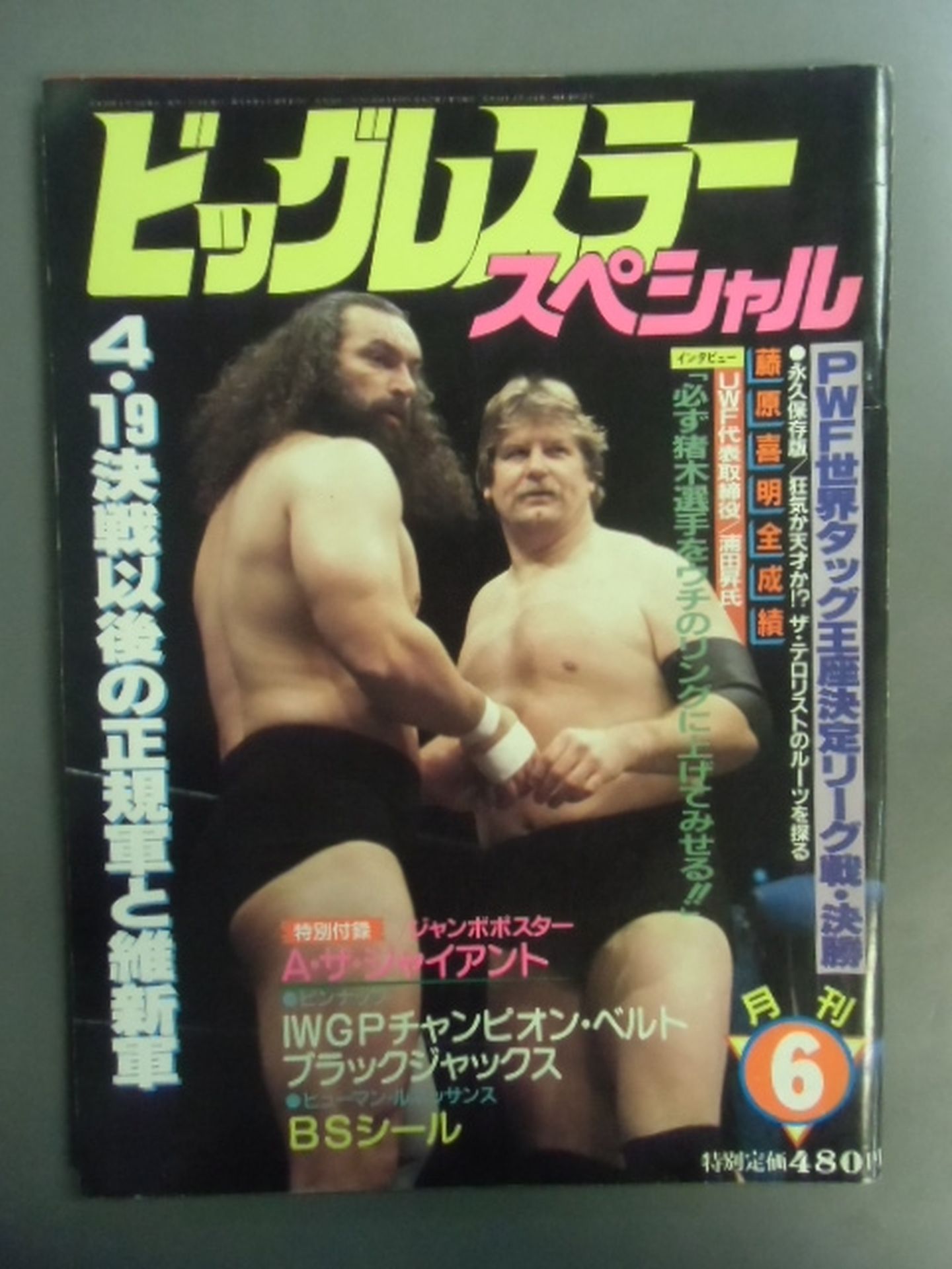 Monthly Big Wrestler June 1984 Special Issue