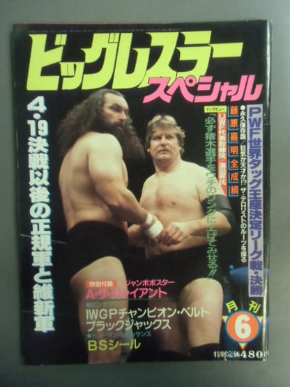 Monthly Big Wrestler June 1984 Special Issue
