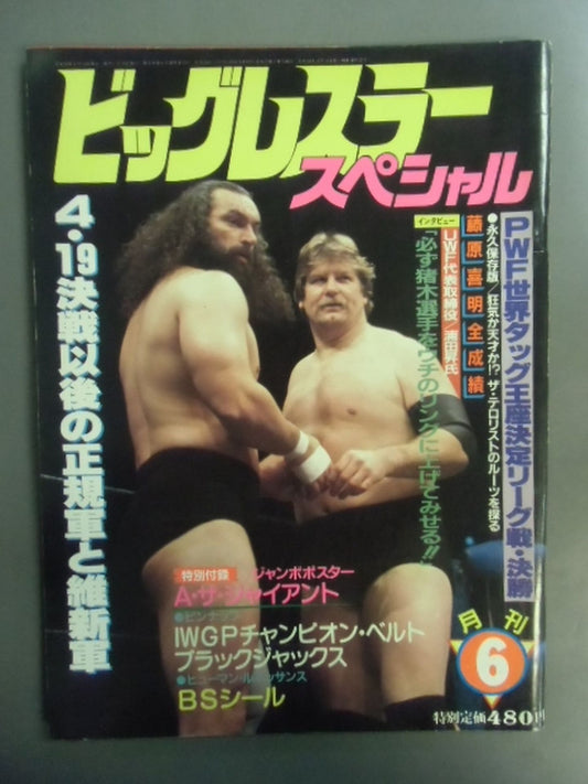 月刊ビッグレスラー 1984年6月号スペシャル