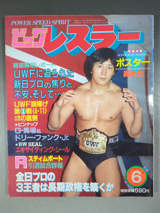 月刊ビッグレスラー 1984年6月号