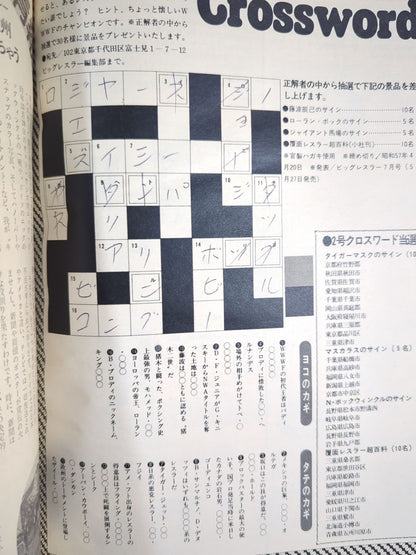 月刊ビッグレスラー 1982年05月号