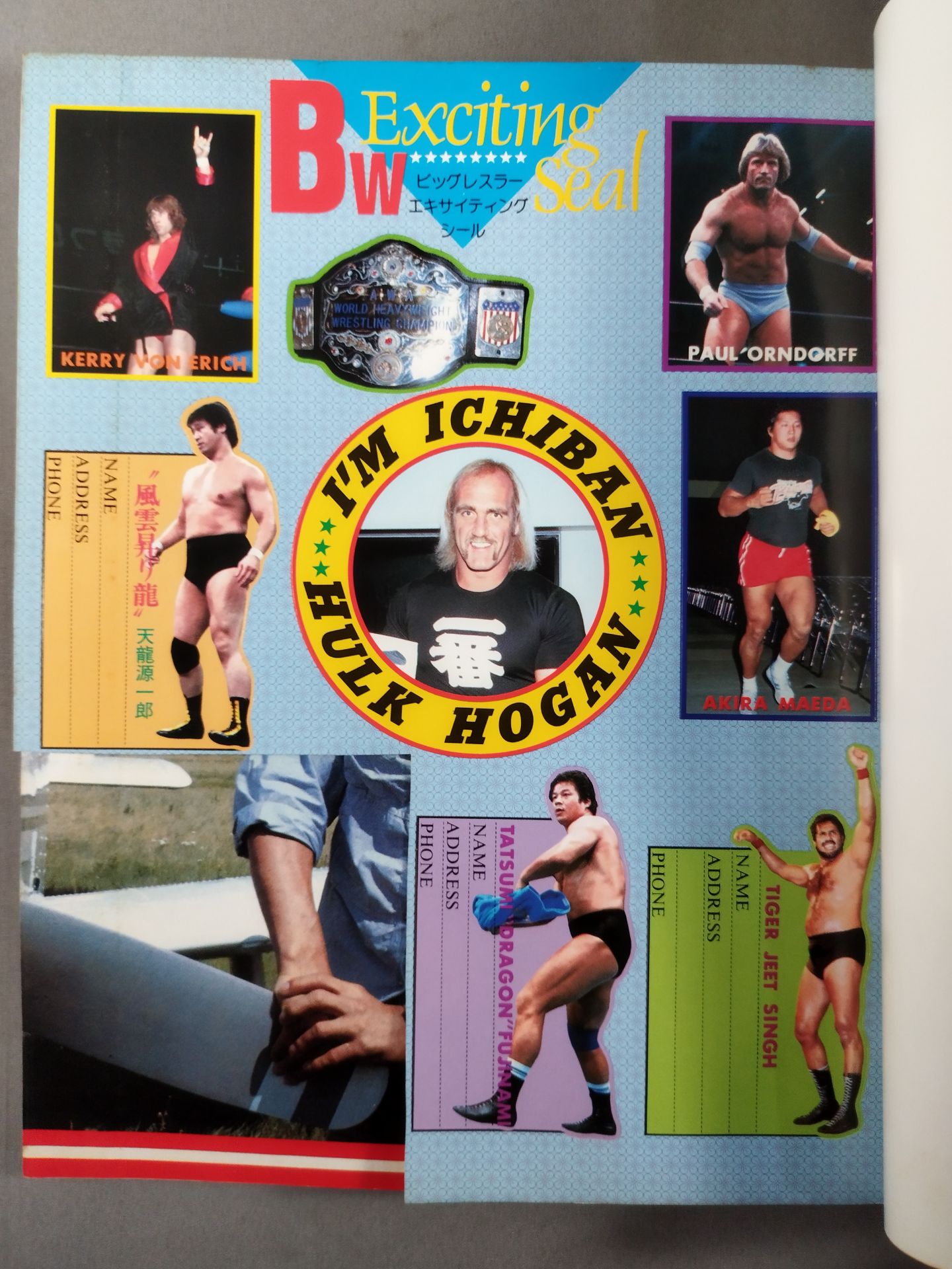 月刊ビッグレスラー 1983年10月号