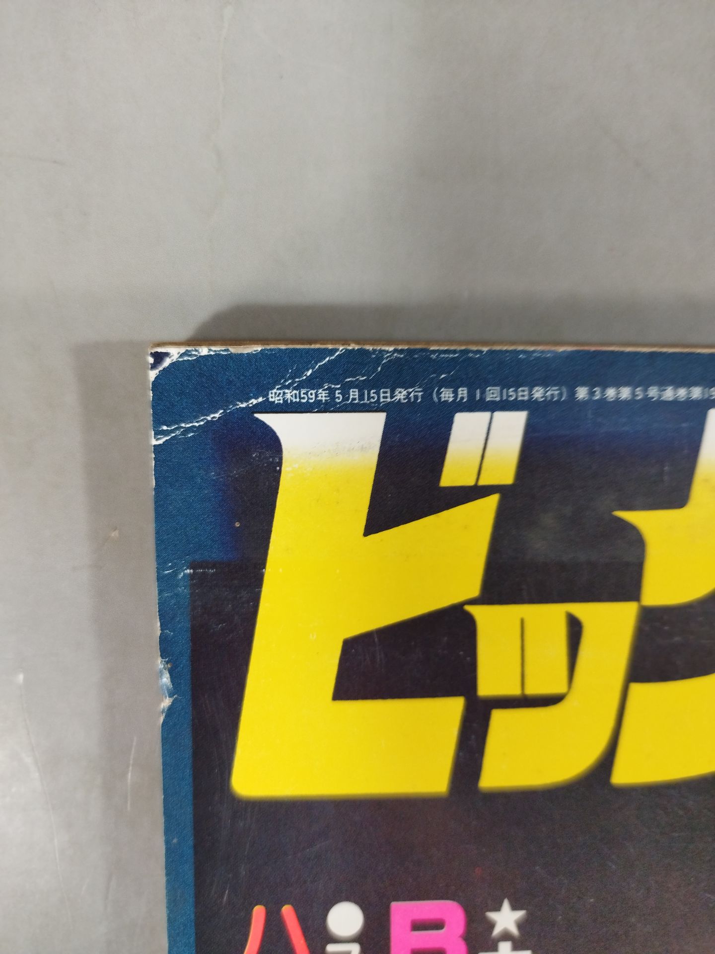 月刊ビッグレスラー 1984年5月号スペシャル