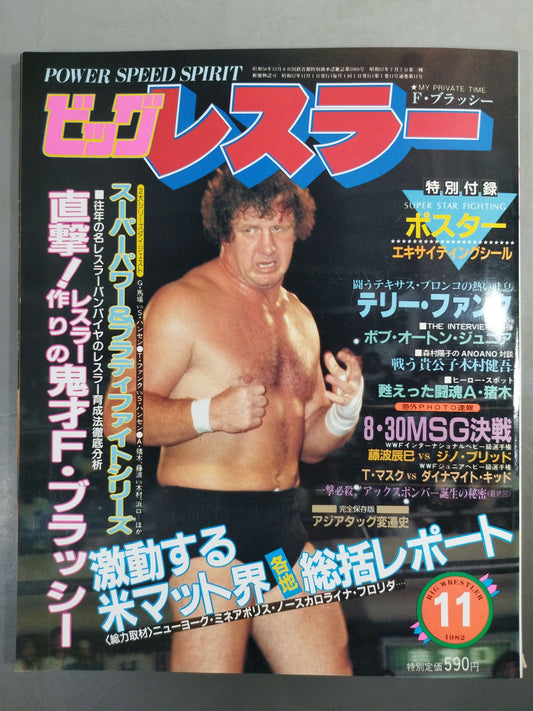 月刊ビッグレスラー 1982年11月号
