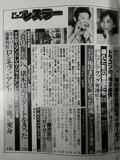 月刊ビッグレスラー 1982年11月号