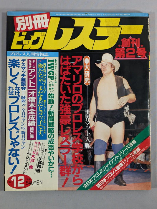 月刊ビッグレスラー 1982年12月号別冊