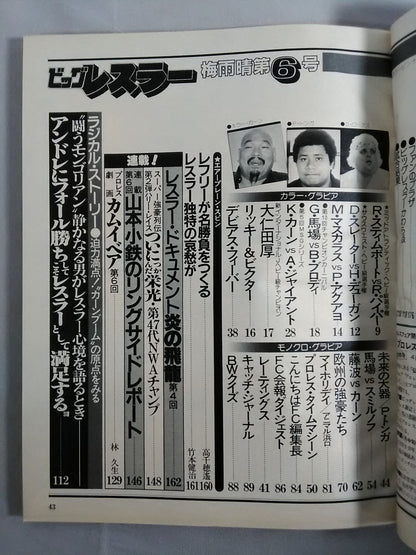 月刊ビッグレスラー 1982年6月号