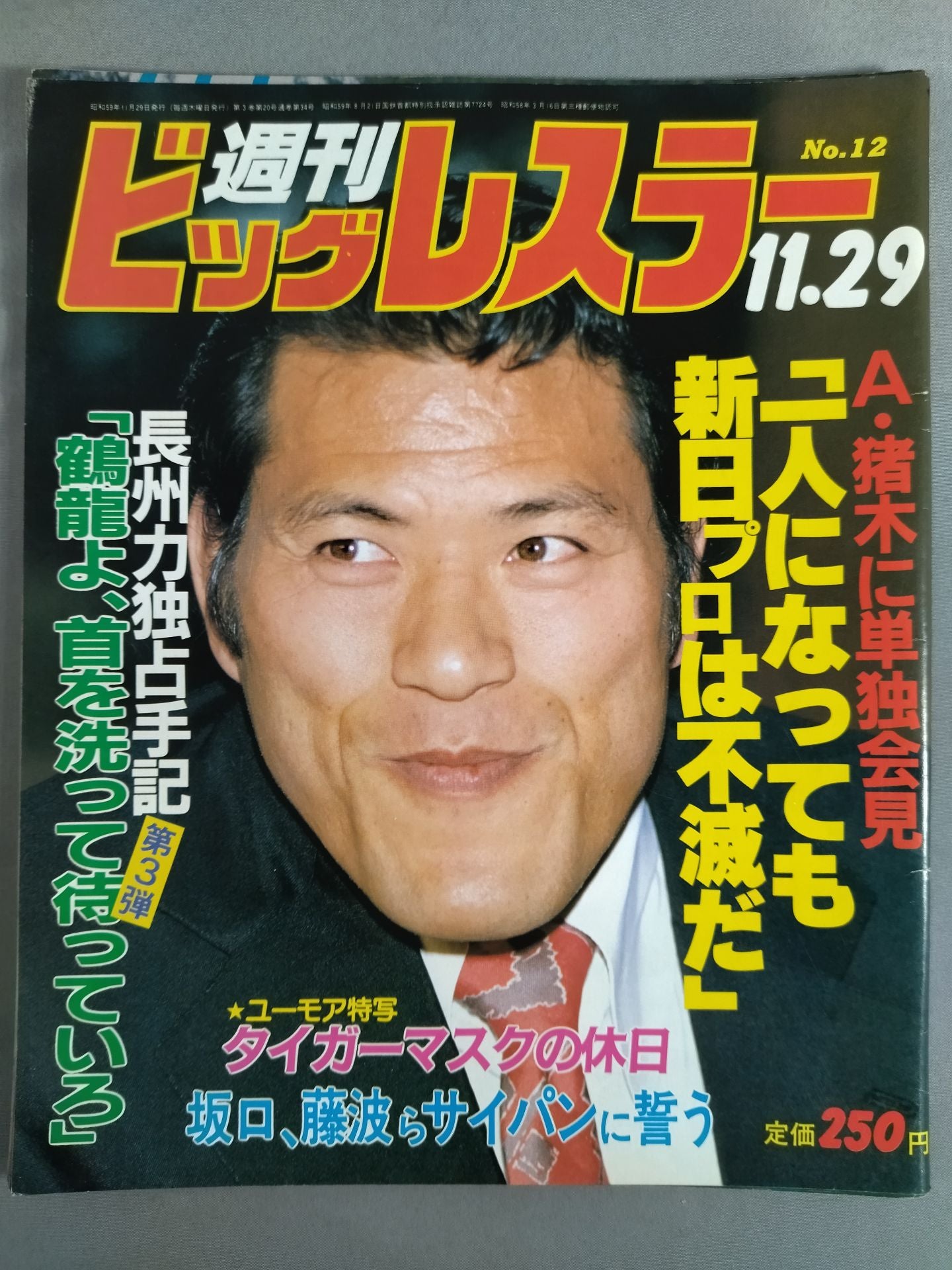 Weekly Big Wrestler 12