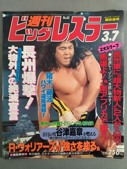 Weekly Big Wrestler 25
