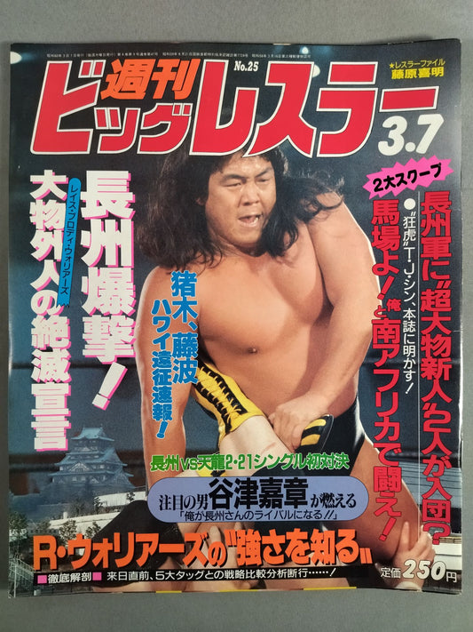 Weekly Big Wrestler 25