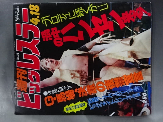 週刊ビッグレスラー31