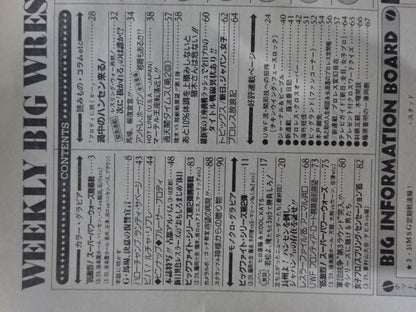 週刊ビッグレスラー31
