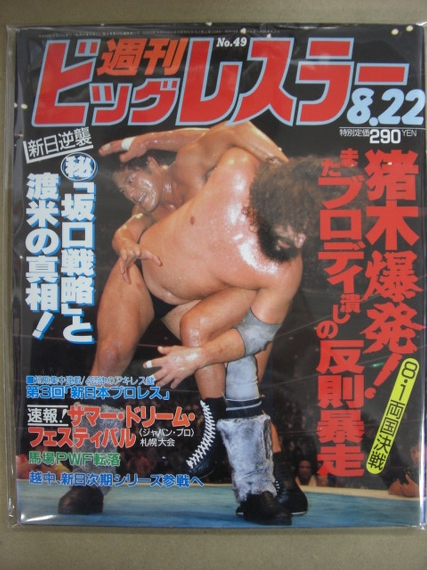 週刊ビッグレスラー49
