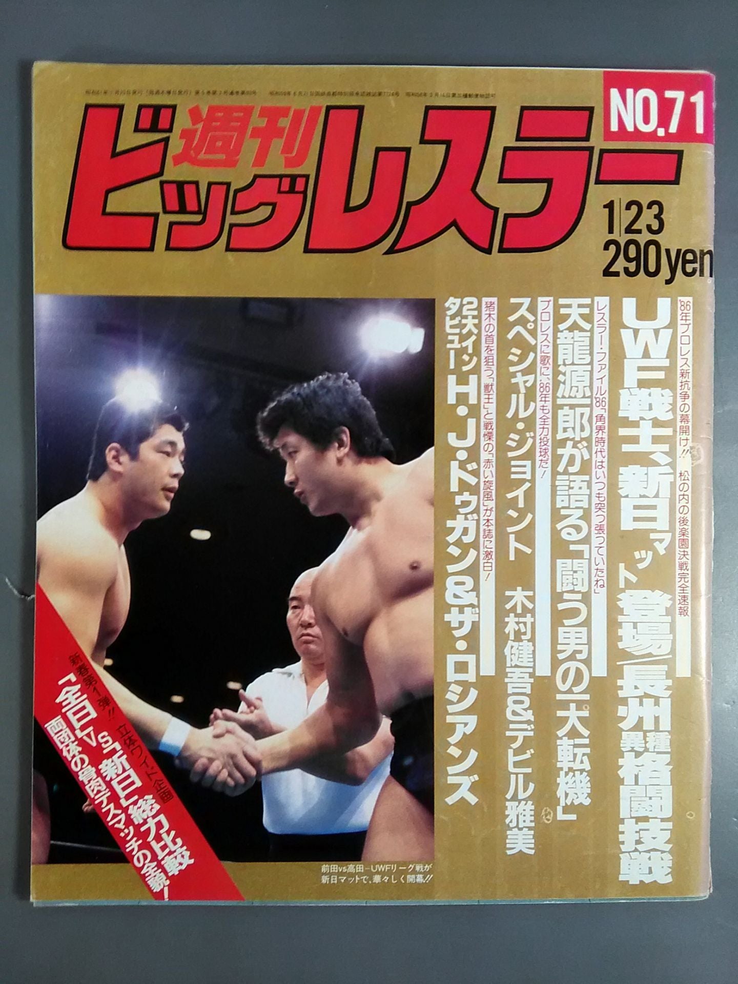 週刊ビッグレスラー71