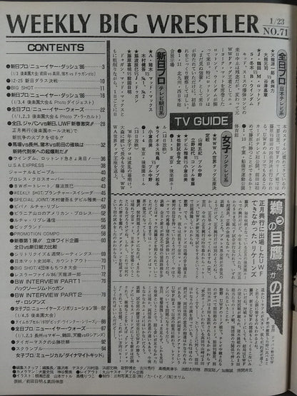 週刊ビッグレスラー71