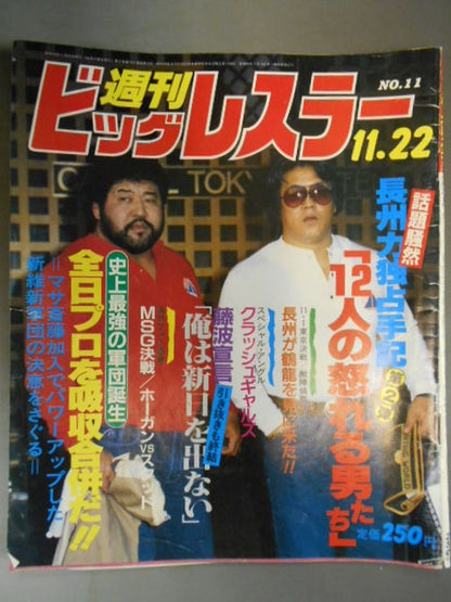 週刊ビッグレスラー11