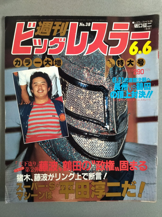 Weekly Big Wrestler 38